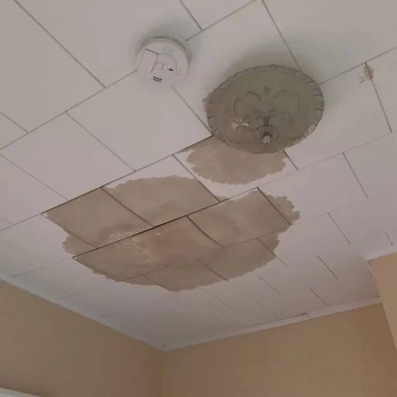 Ceiling Water Damage Repair in Tunkhannock, PA